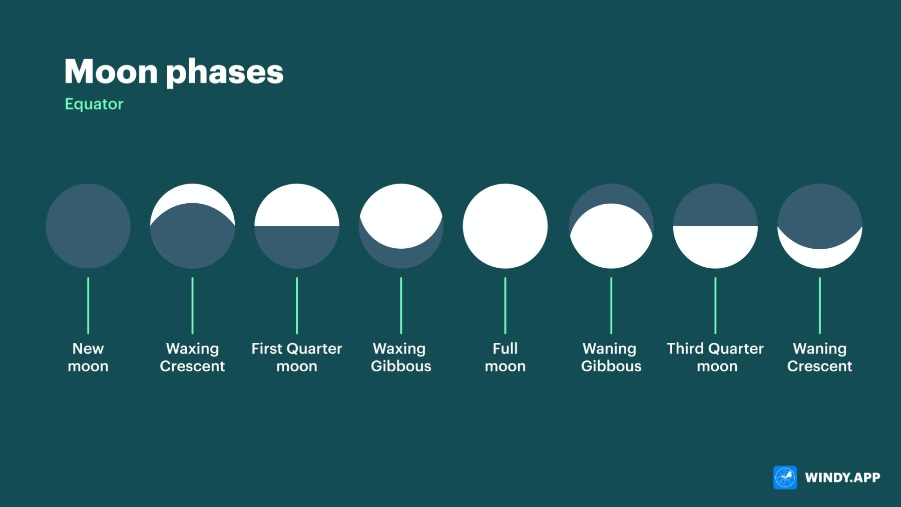 What are the phases of the moon and how to understand them - Windy.app
