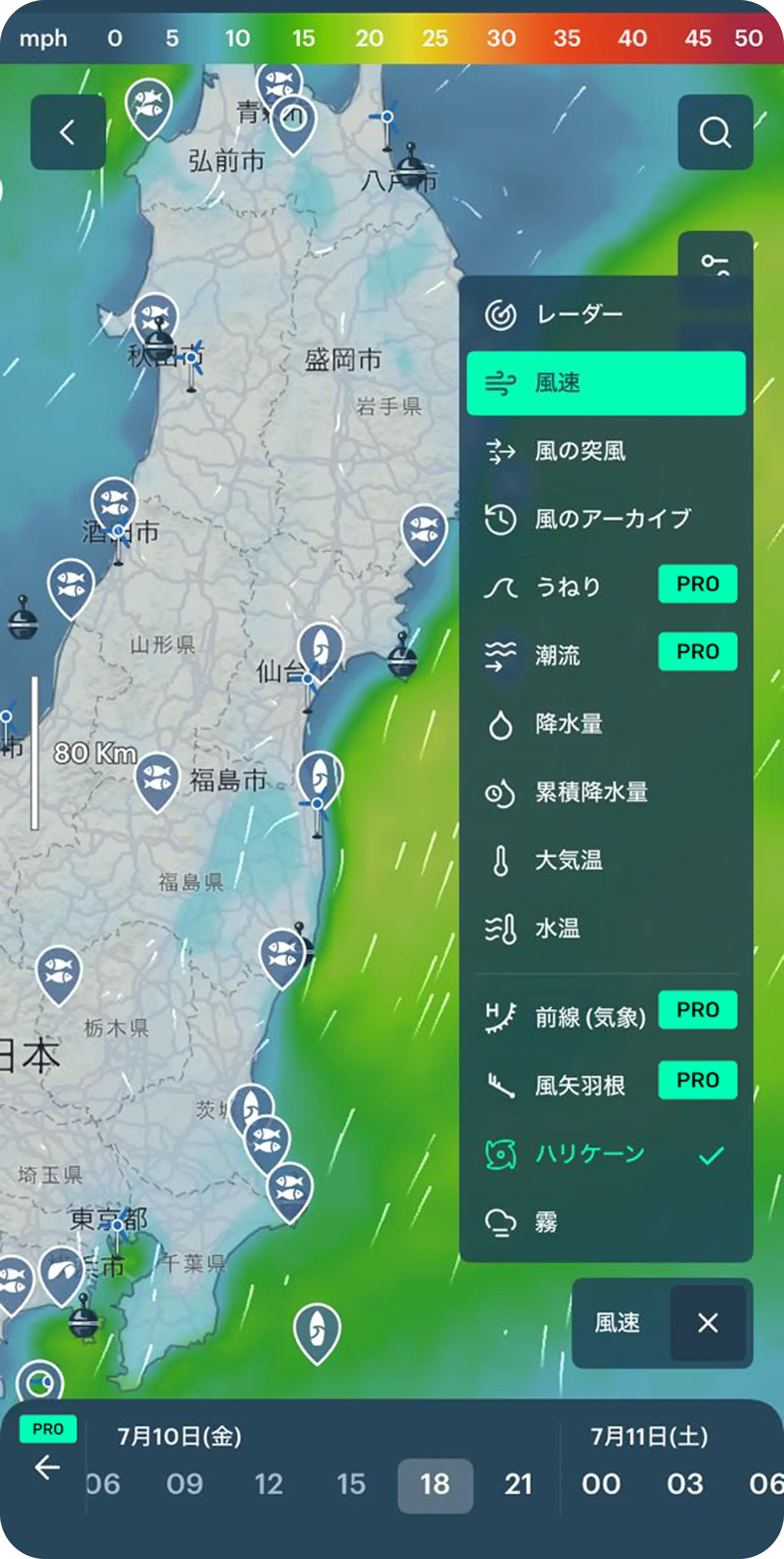 Windy.app screenshot