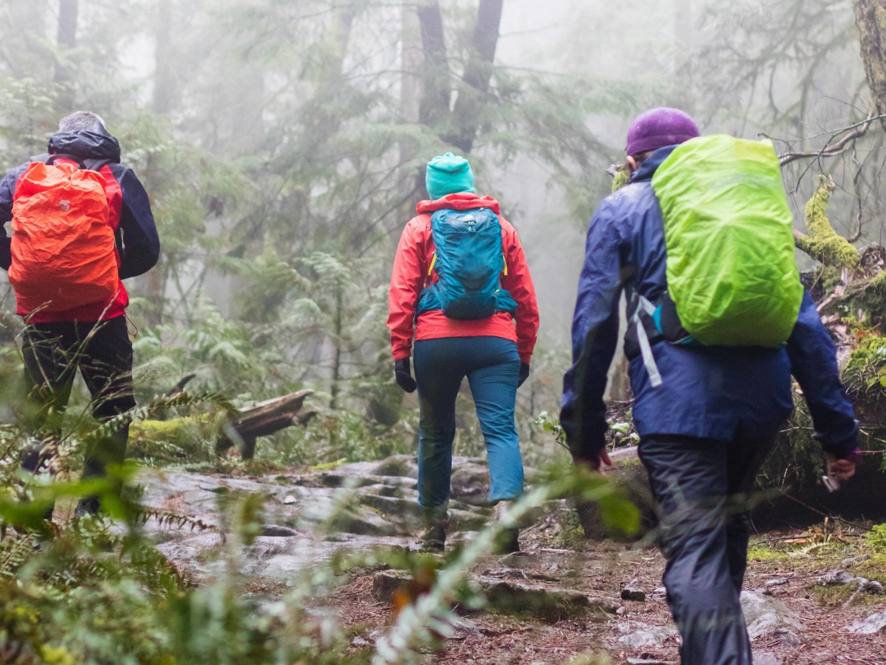 How To Enjoy Hiking In The Rain If You Never Did It Before Tips From