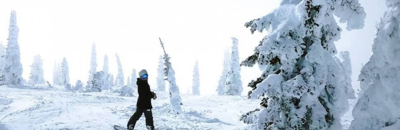 Tree wells or snow traps — quite dangerous