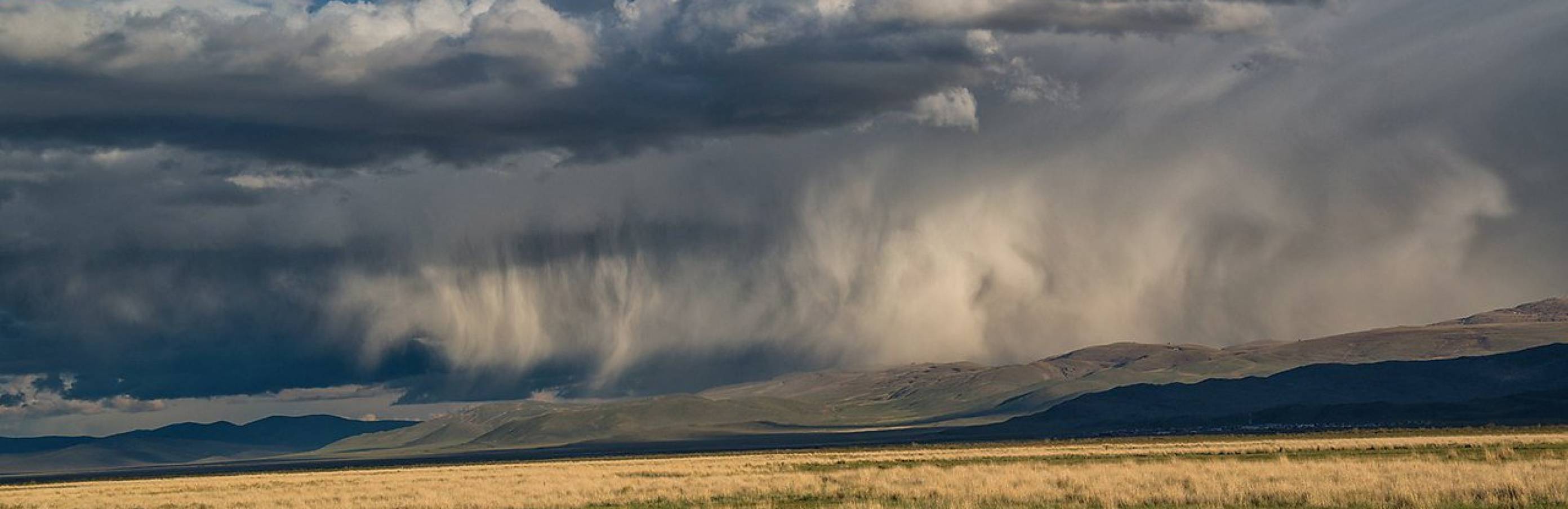 Virga nuoga | Rask vienišus suaugusiuosius Lietuvoje