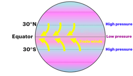 Trade Winds - Simple Explanation - Windy.app