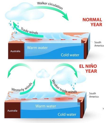 How does El Niño work? - Windy.app